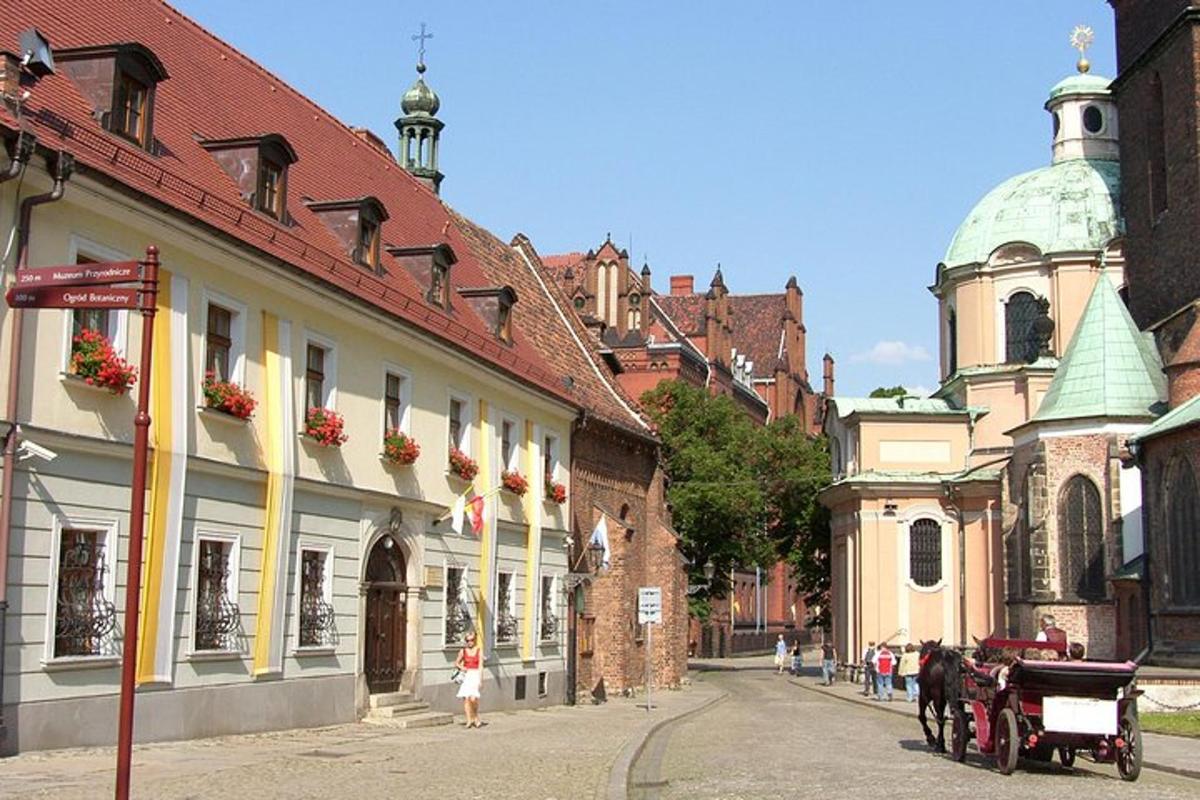 ulice s koňským povozem ve městě