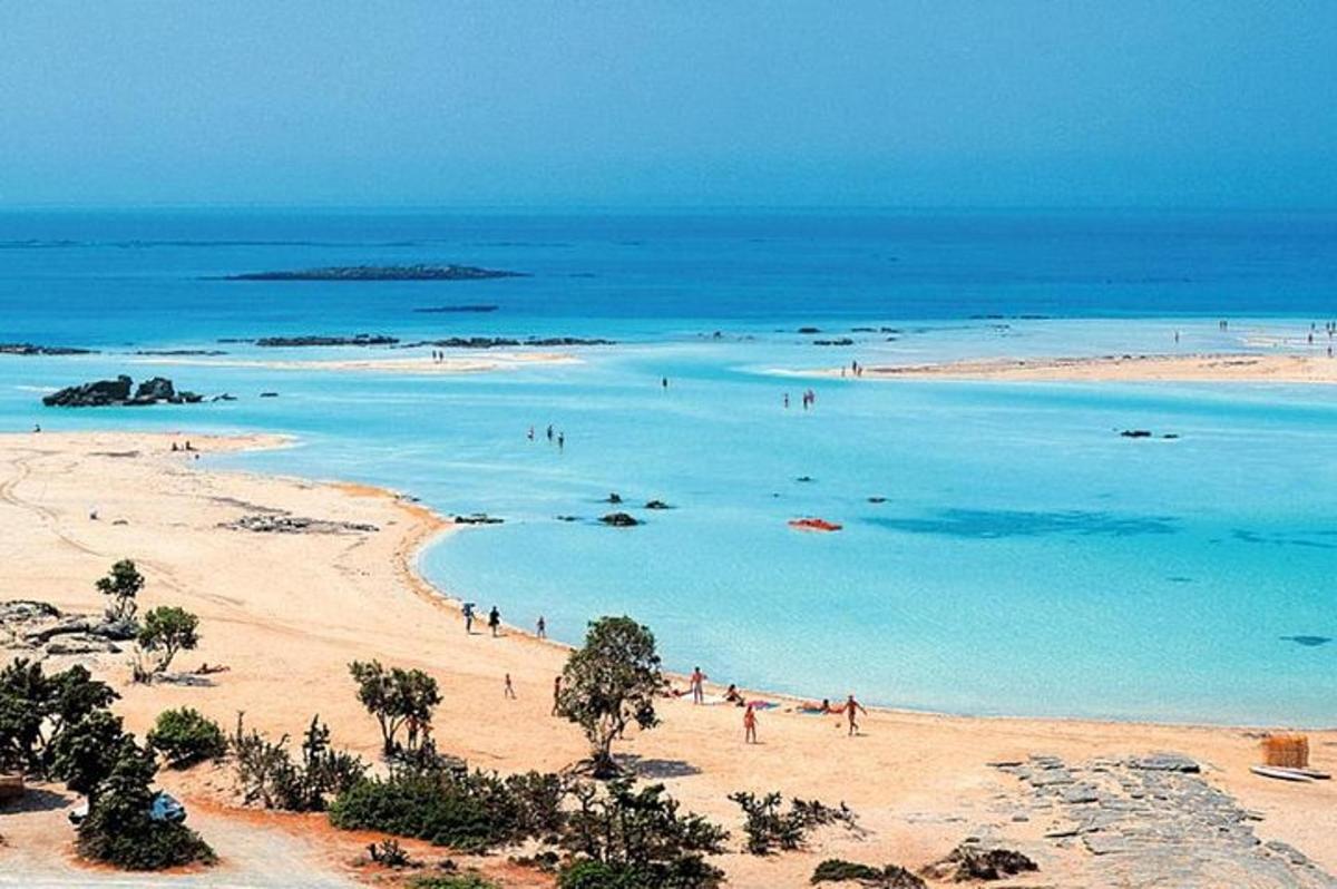 un grupo de personas en una playa en el océano