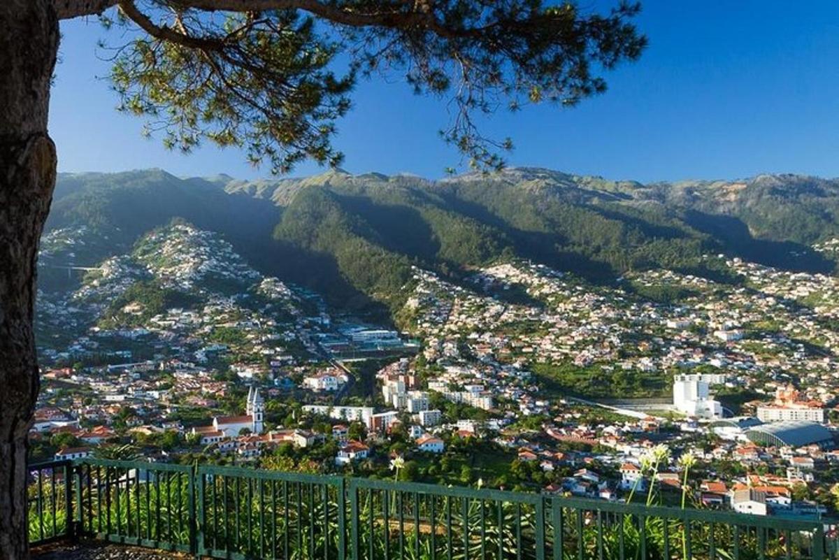 a view of a city with mountains in the background