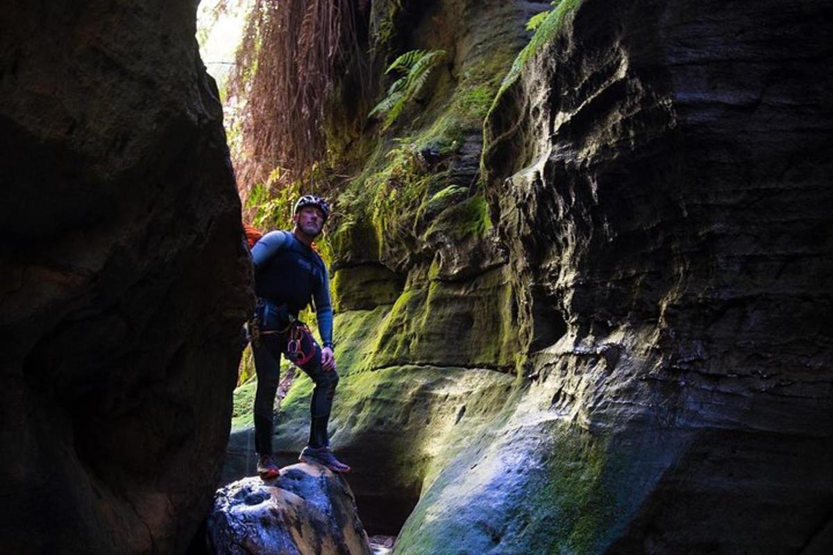 a man standing on a rock in a canyon