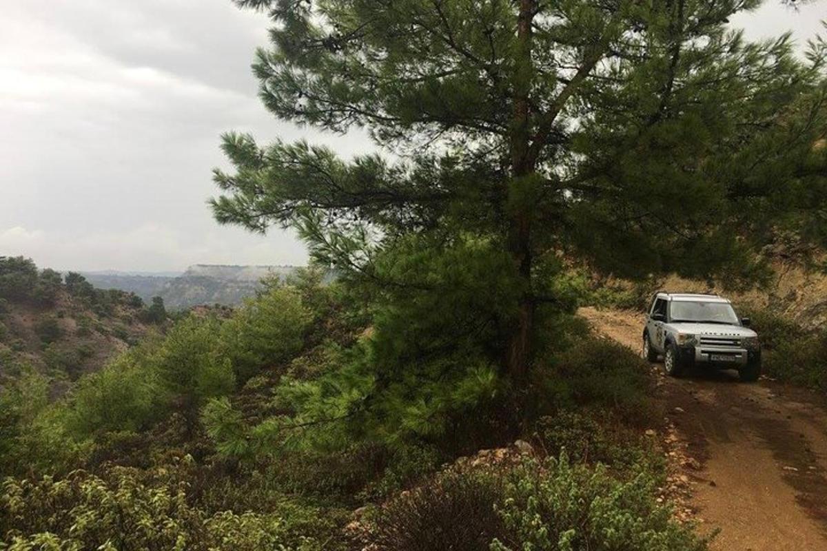 Un camión estacionado en un camino de tierra al lado de un árbol.