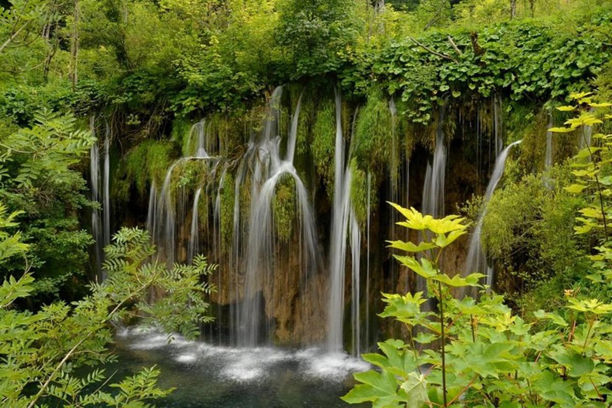 ein Wasserfall mitten im Wald