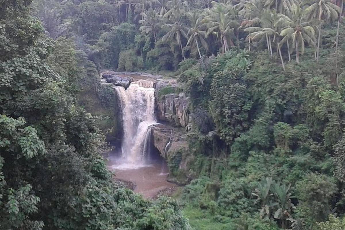 ein Wasserfall mitten im Dschungel
