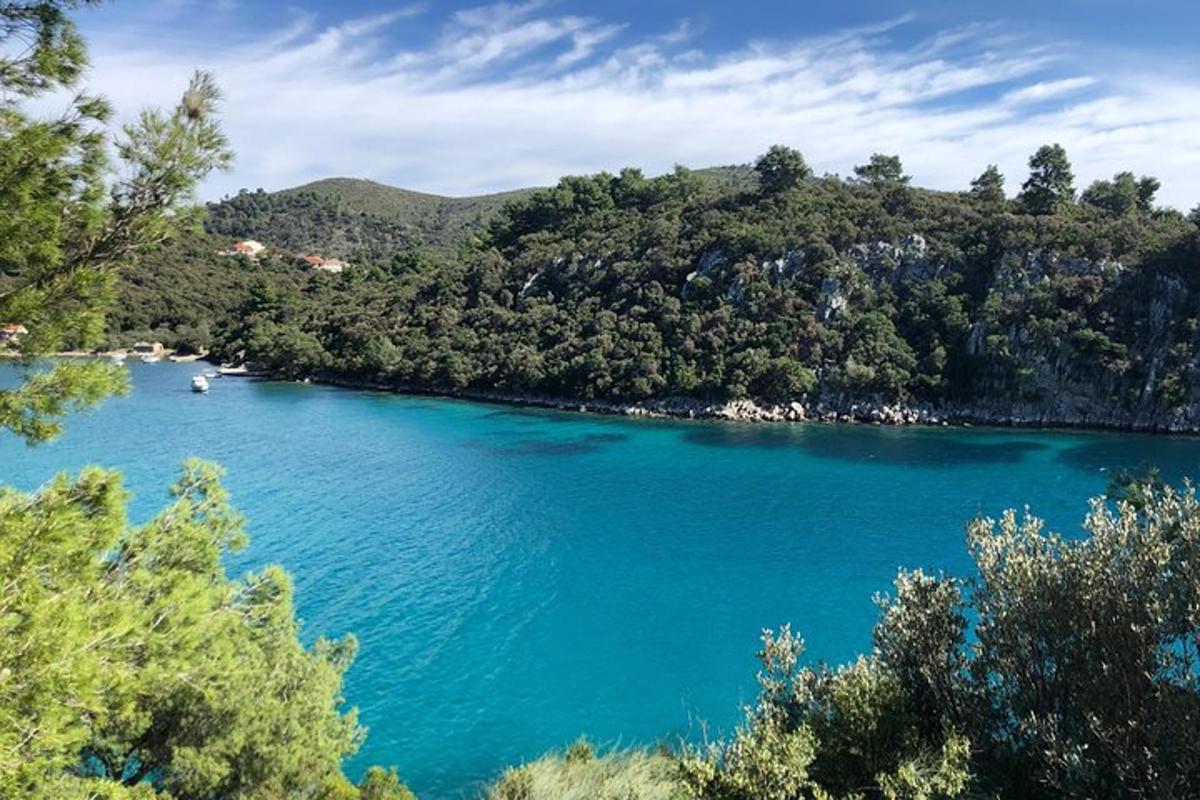 un grande lago blu con un gruppo di alberi