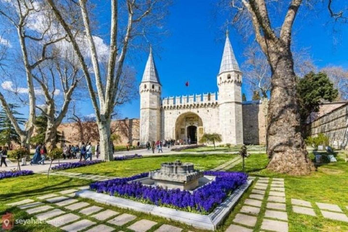 un edificio con una fontana in un parco con fiori viola