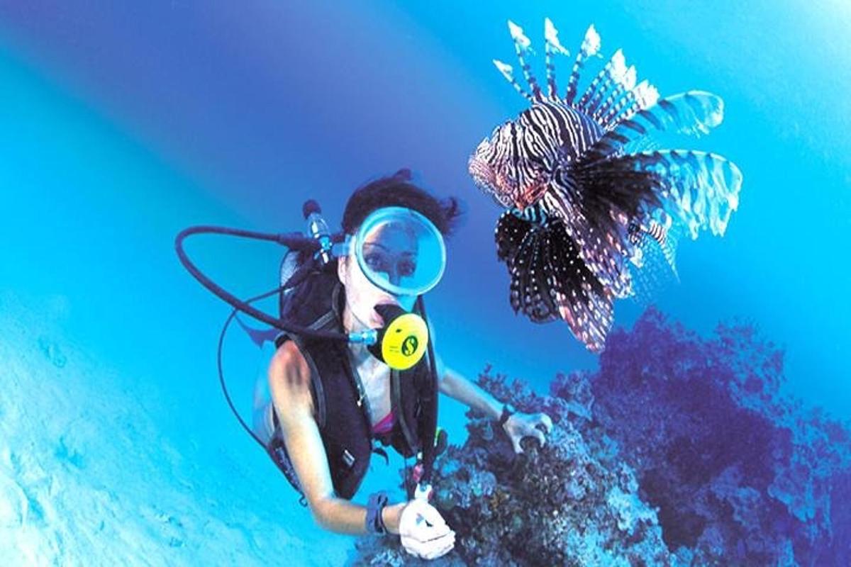 seseorang di dalam air dengan aqual
