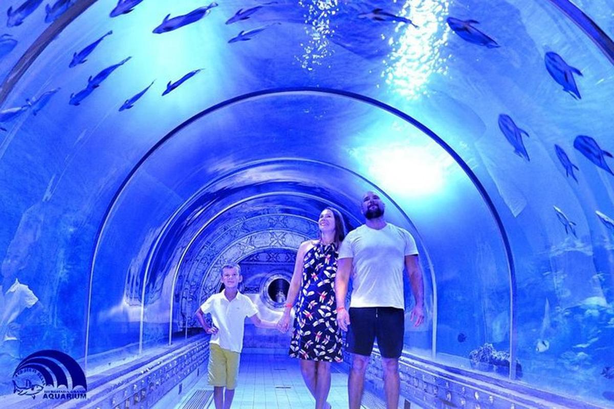 Attraction picture 1