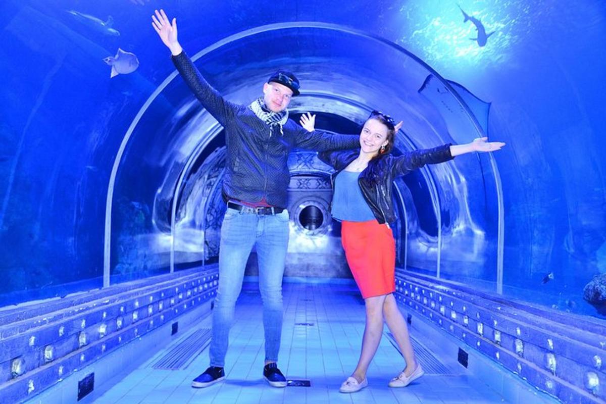 Attraction picture 4