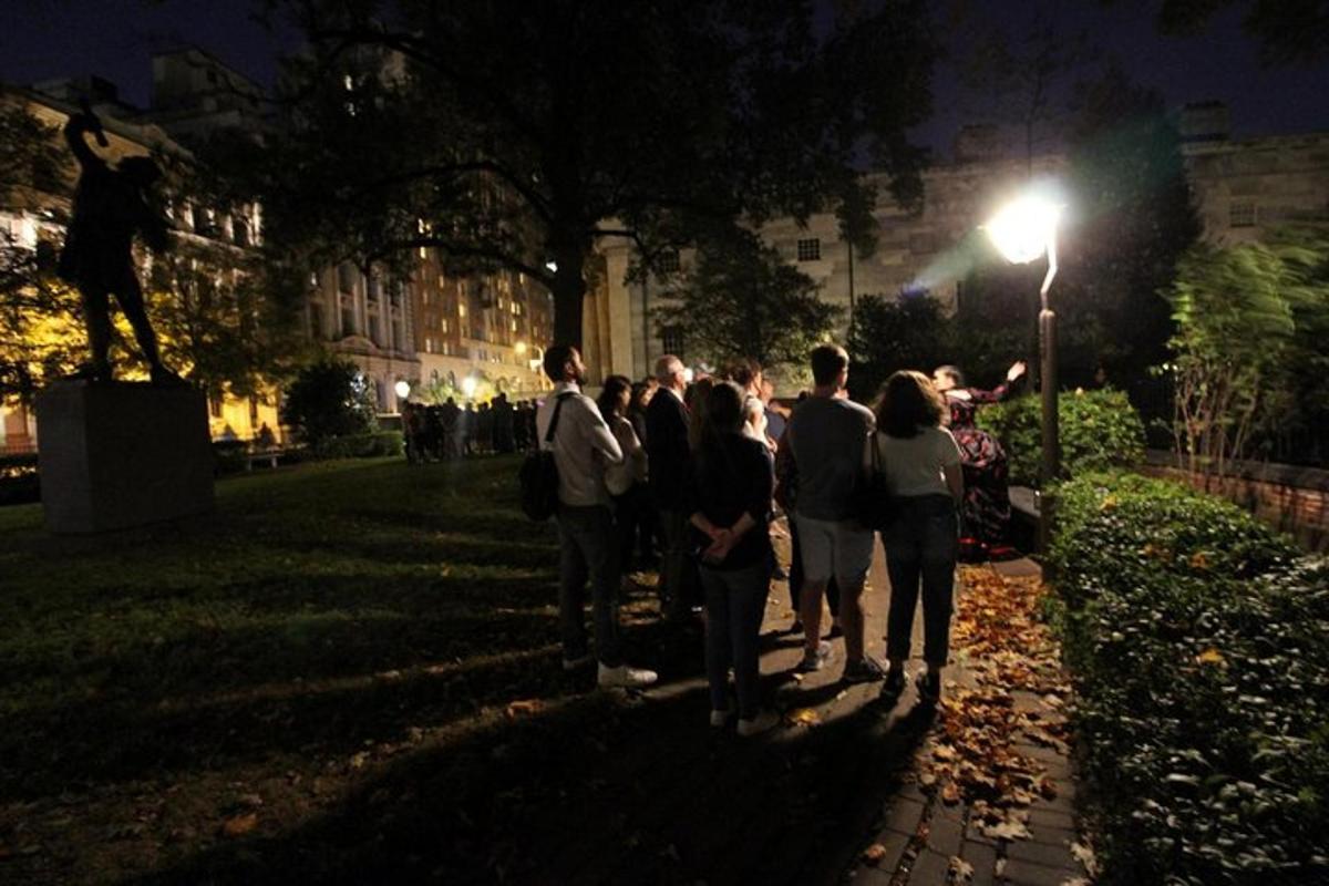 skupina ljudi, ki ponoči stojijo v parku
