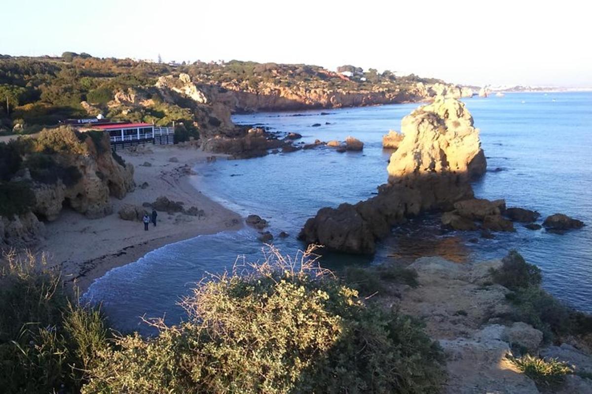 水中岩石遍布的海滩景观