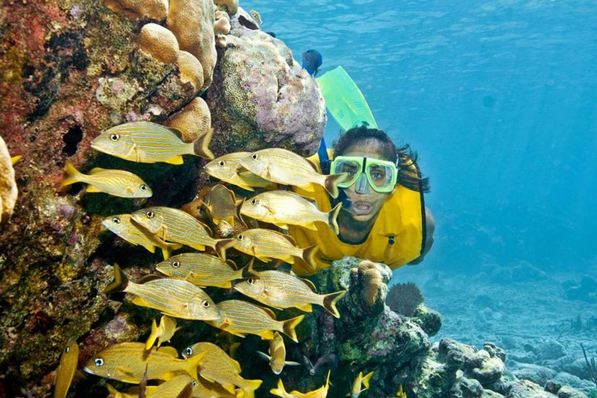 una persona con una giacca gialla e alcuni pesci nell'oceano