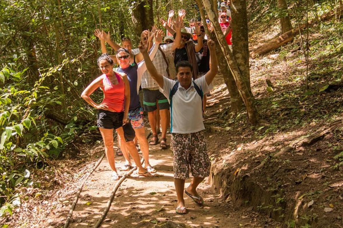 a group of people on a trail in the woods