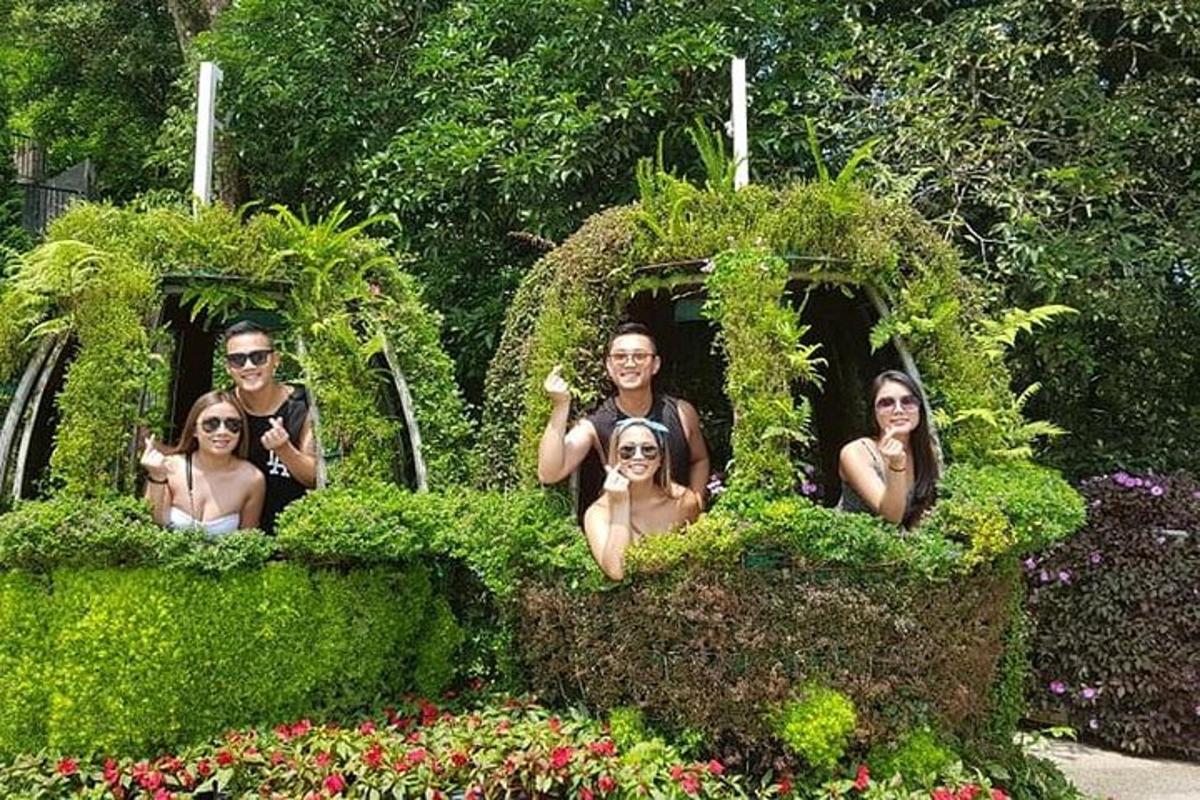 Attraction picture 6