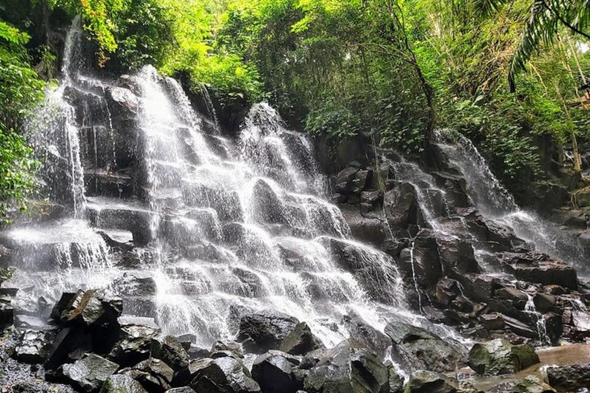 a waterfall in the middle of a forest