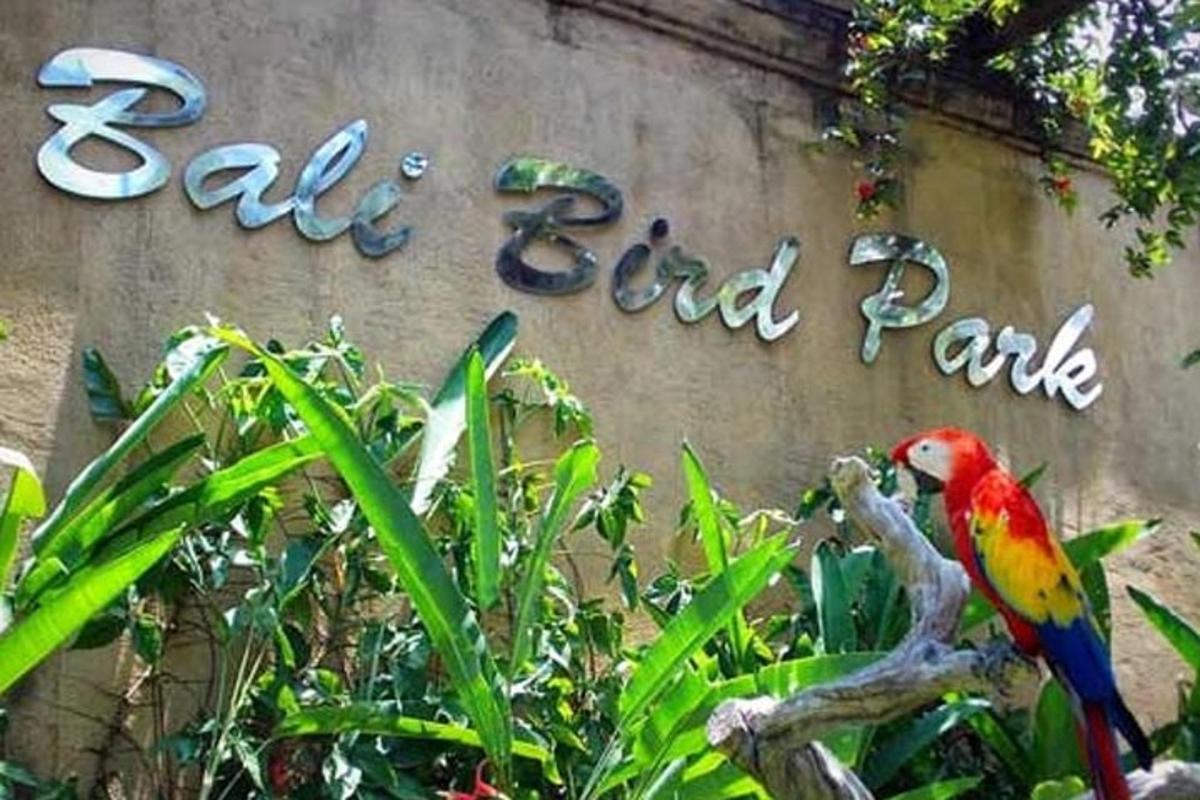 a parrot sitting on a branch in front of a sign