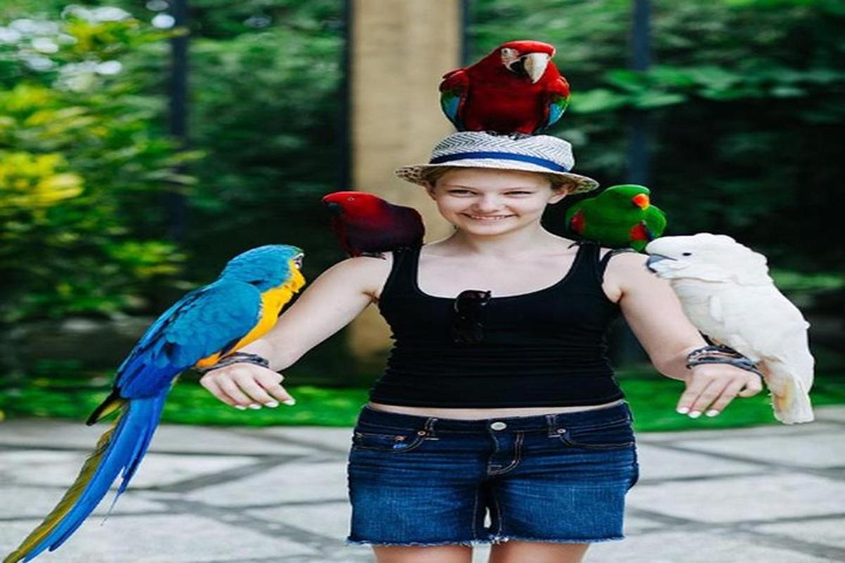 mladá dívka s ptáky na klobouku