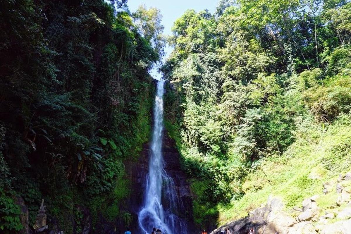 air terjun di tengah-tengah hutan