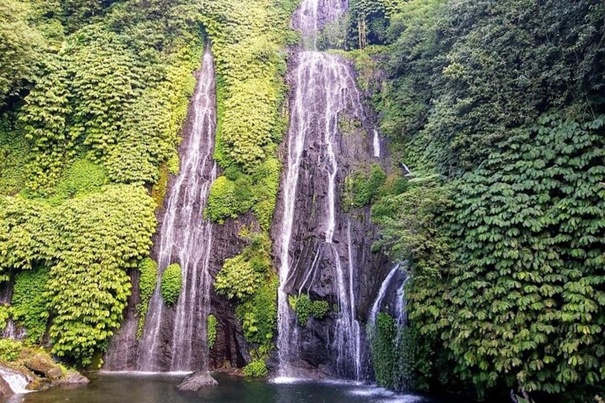 a waterfall in the middle of a forest