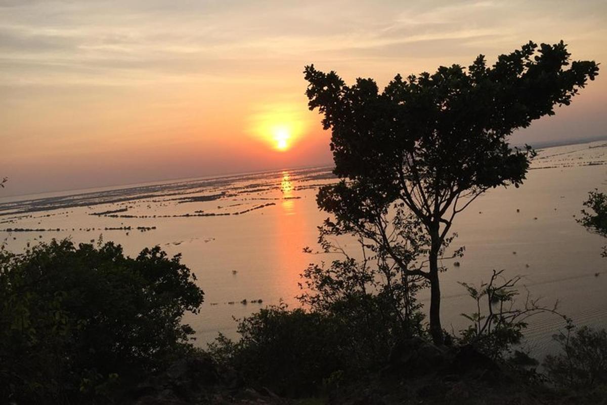 una posta de sol sobre una massa d'aigua amb un arbre