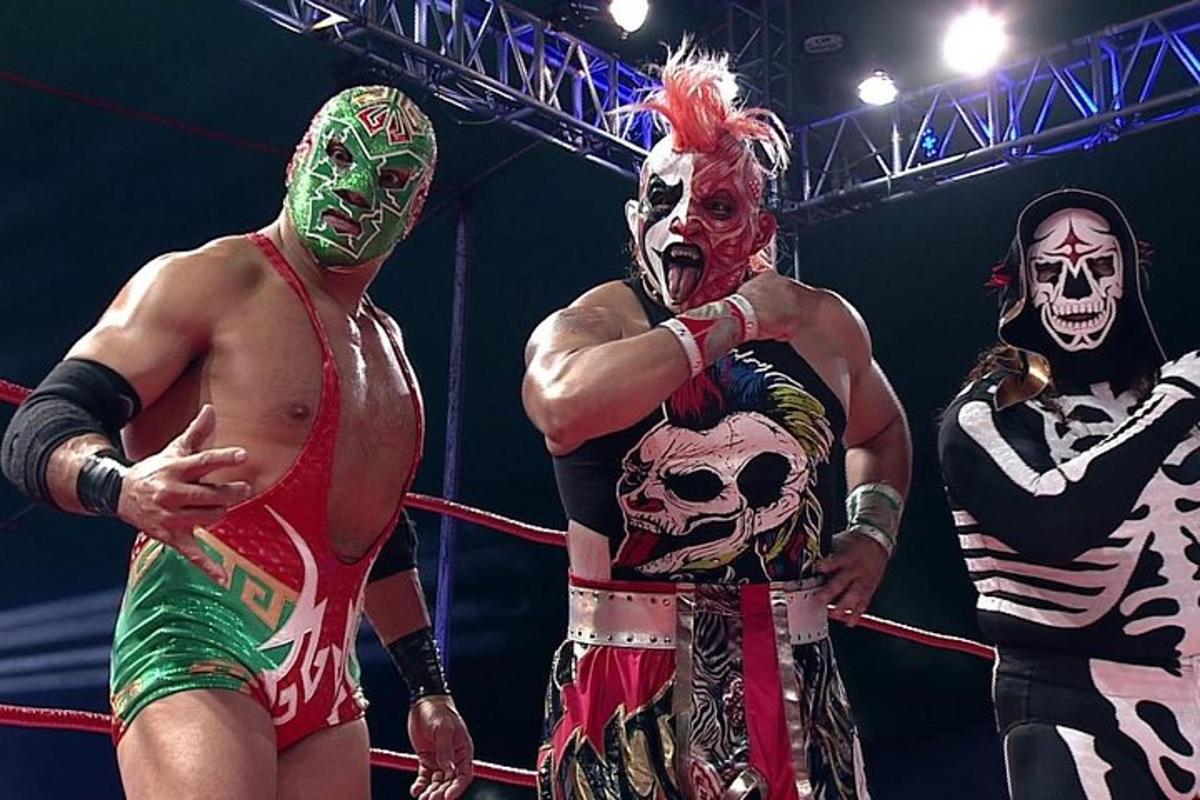 Dos luchadores están de pie en un ring de boxeo.