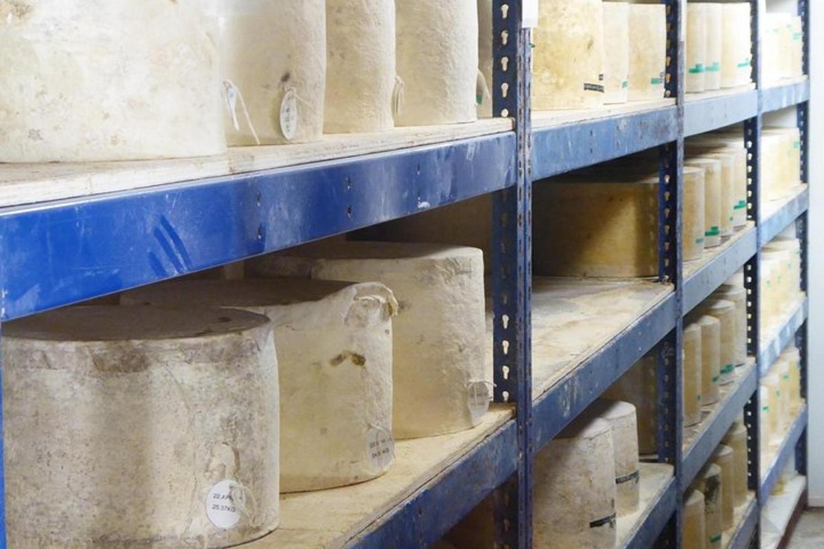 une étagère remplie de nombreux bols en béton blanc