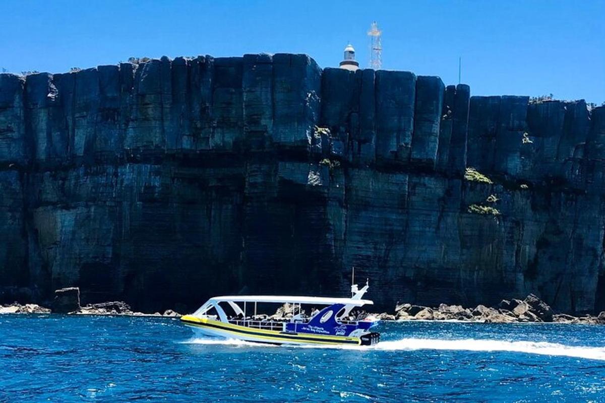 Lankytinos vietos ar pramogos nuotrauka numeris 3