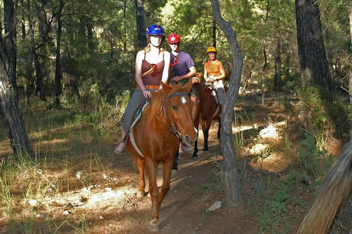 Τρία άτομα ιππεύουν άλογα σε ένα μονοπάτι στο δάσος