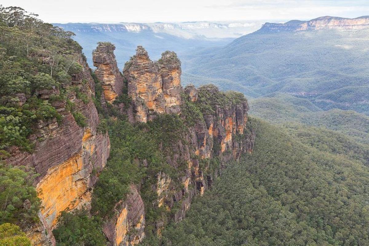 una imagen de una montaña con árboles y rocas