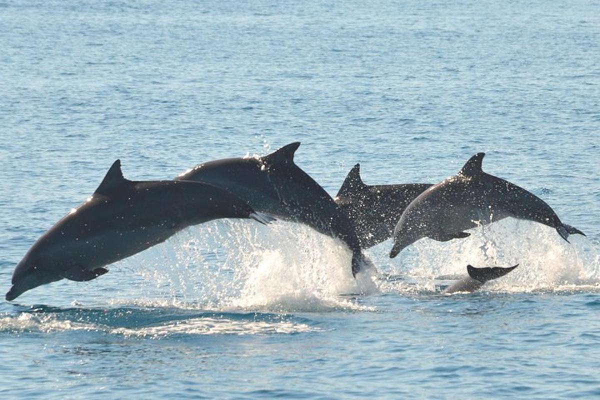 Lankytinos vietos ar pramogos nuotrauka numeris 3