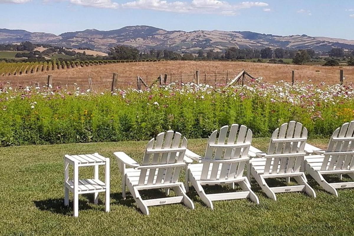 three white chairs sitting in the grass with a field of flowers