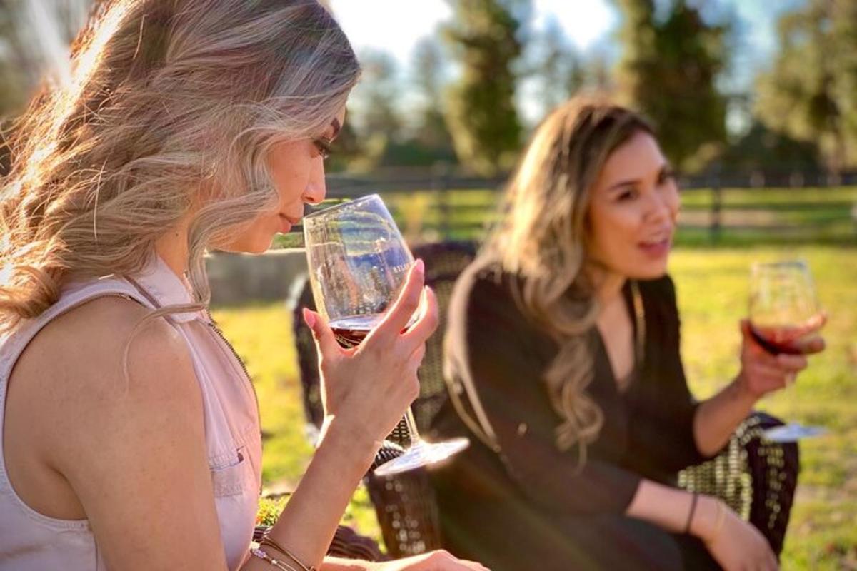 duas mulheres estão bebendo vinho em um campo