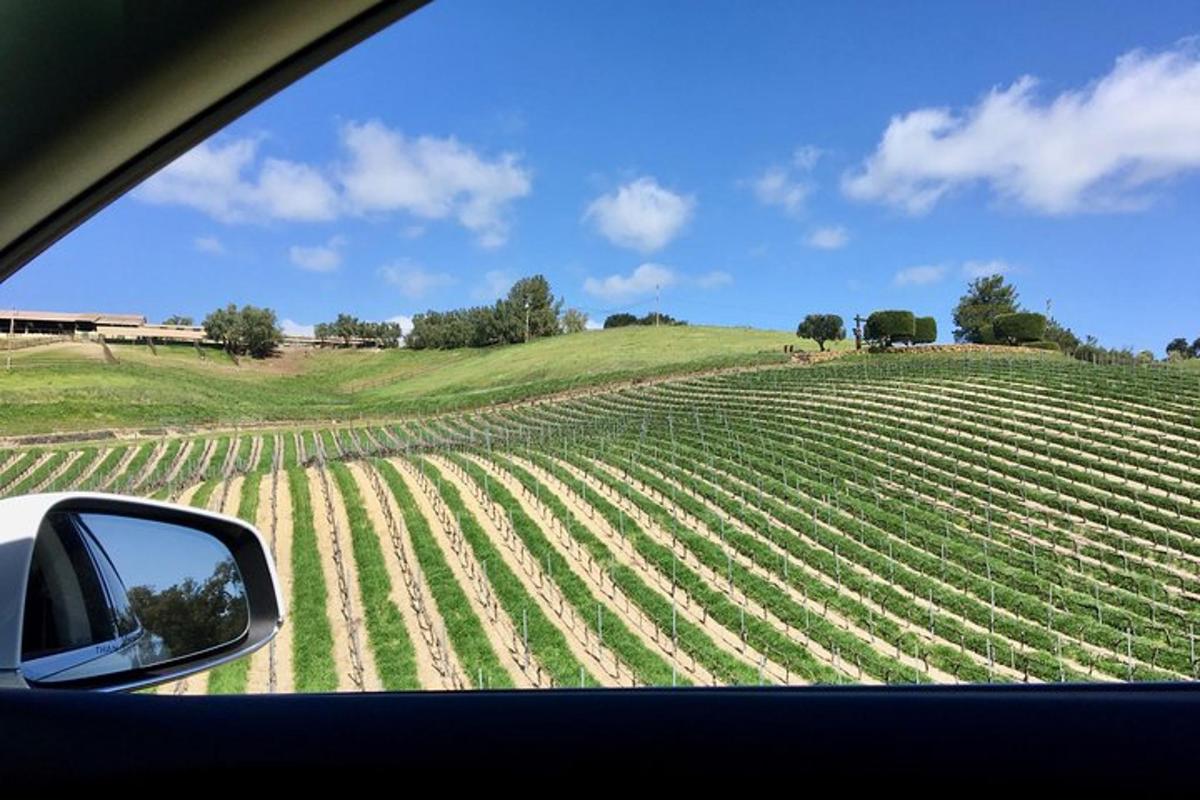 a car looking out the window at a large green field