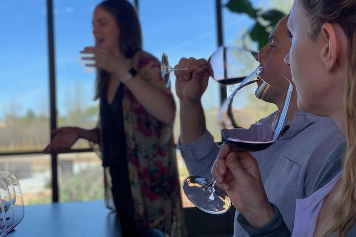 um grupo de pessoas bebendo vinho em taças de vinho