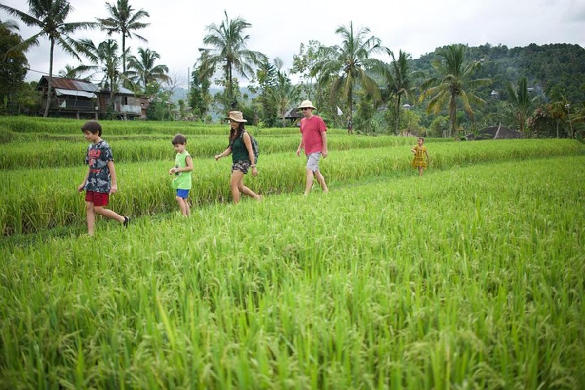 กลุ่มคนกำลังเดินผ่านทุ่งนา