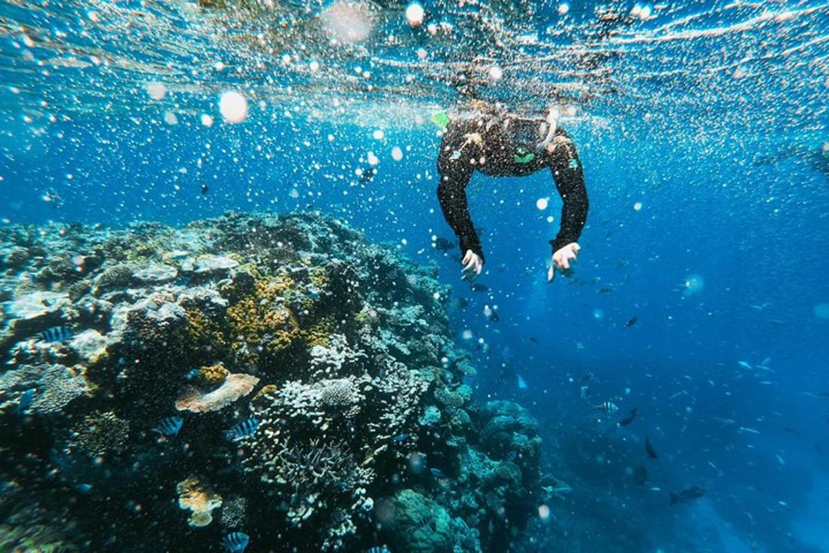 una persona che nuota nell'oceano vicino a una barriera corallina