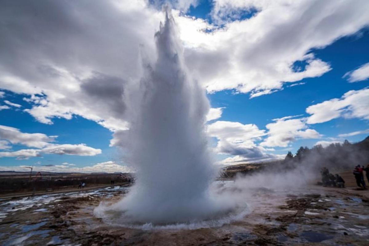 un geyser in mezzo a un campo