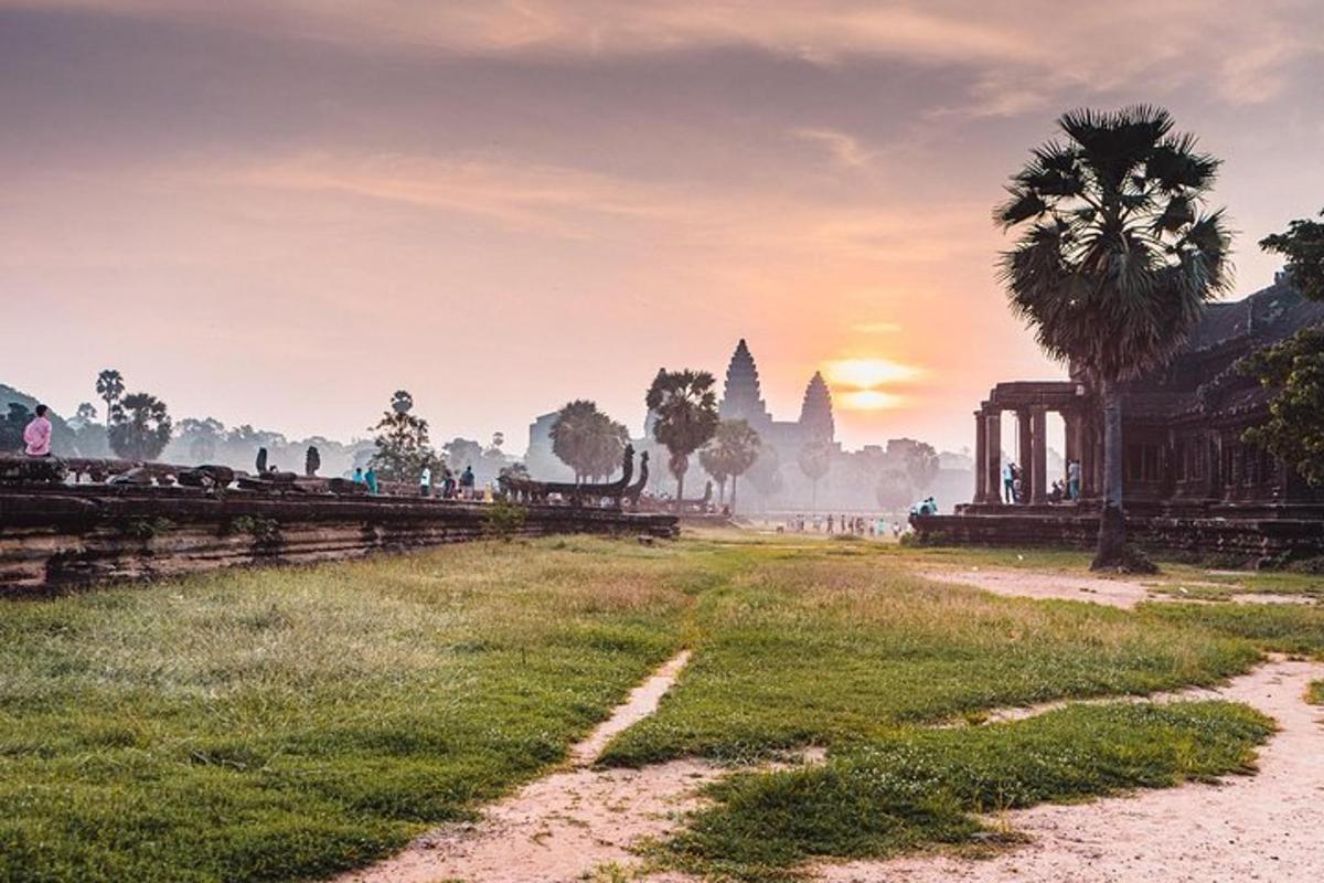 un camp davant d'un temple amb una palmera