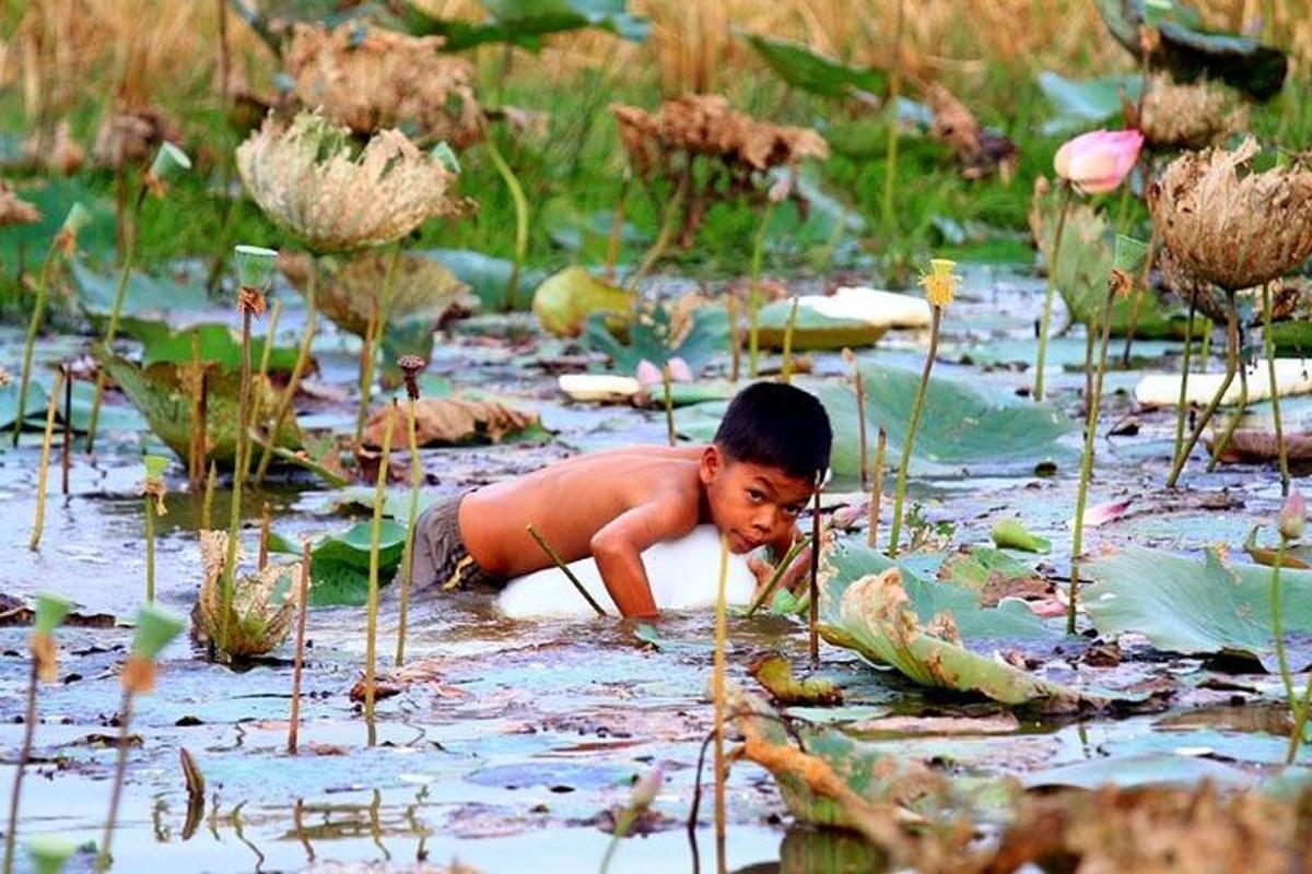 um menino nadando em um lago de nenúfares