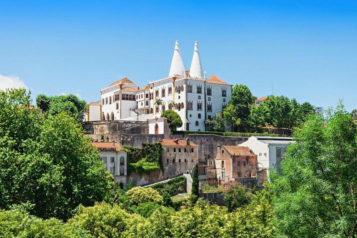 um grupo de edifícios em uma colina com árvores