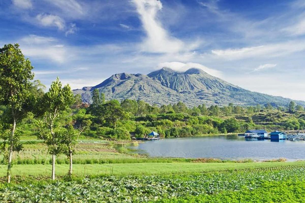 una montagna in lontananza con un lago e degli alberi