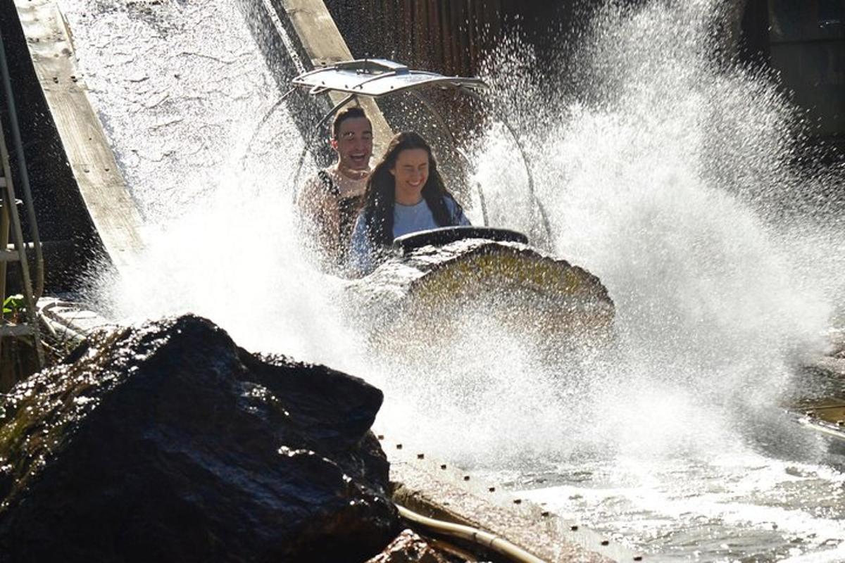 Attraction picture 3