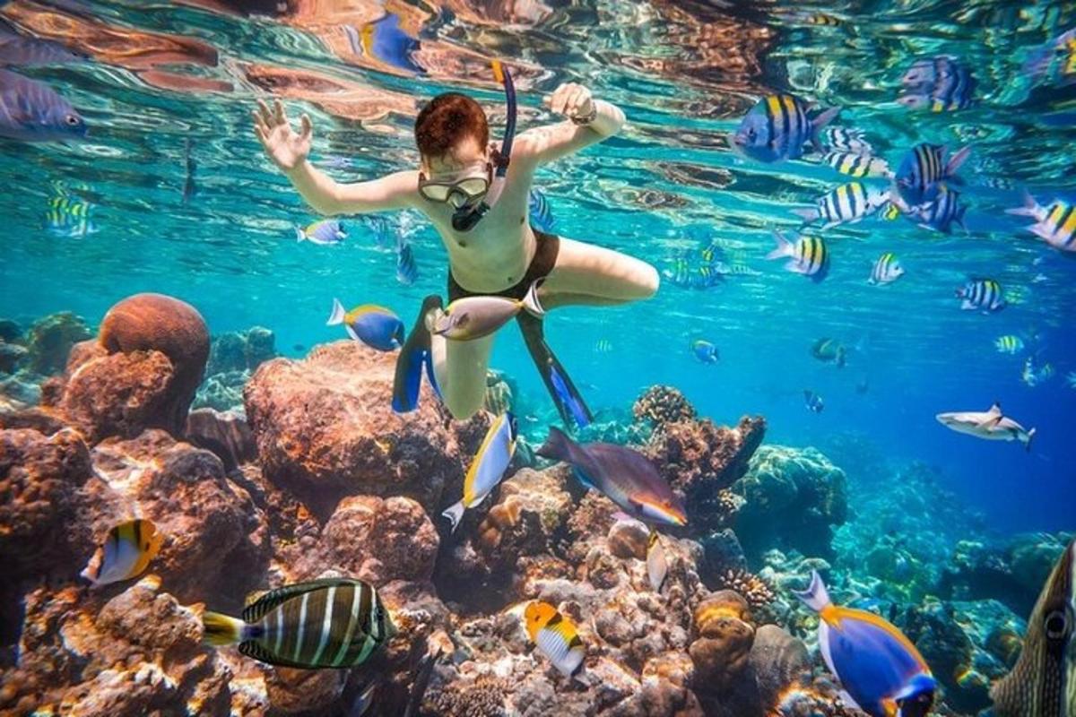 žena v oceánu s rybami a útesy