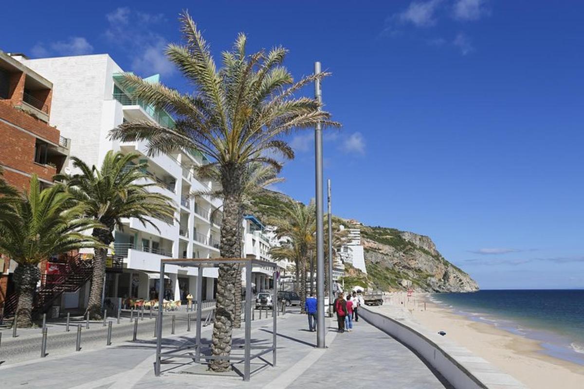 plaża z palmami, budynkiem i oceanem