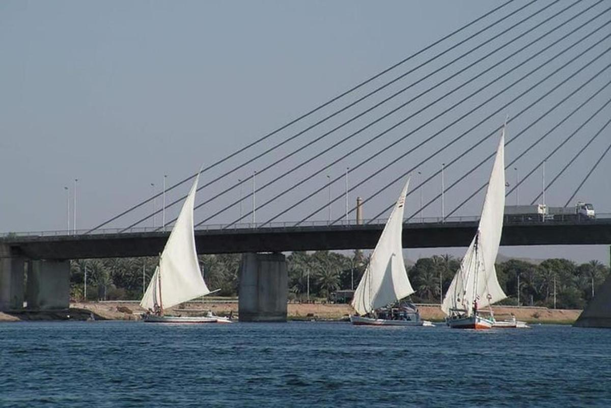 rühm purjekaid silla all vees