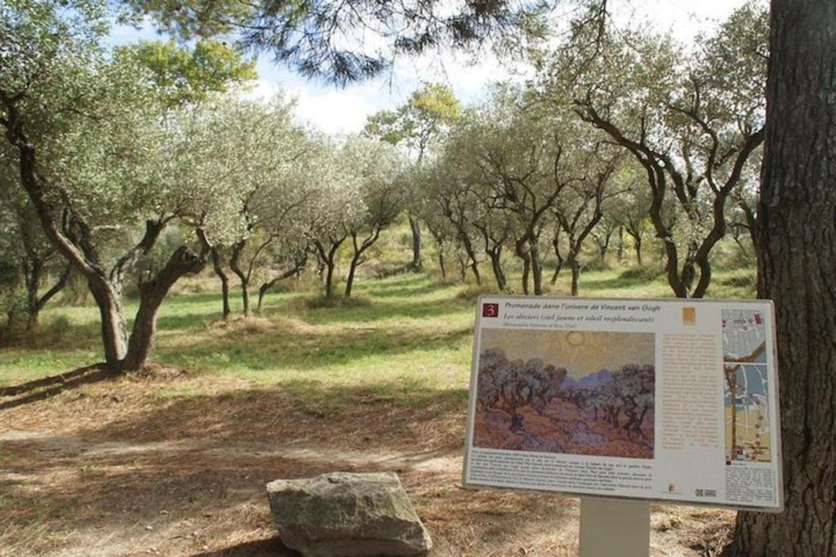 Lankytinos vietos ar pramogos nuotrauka numeris 7