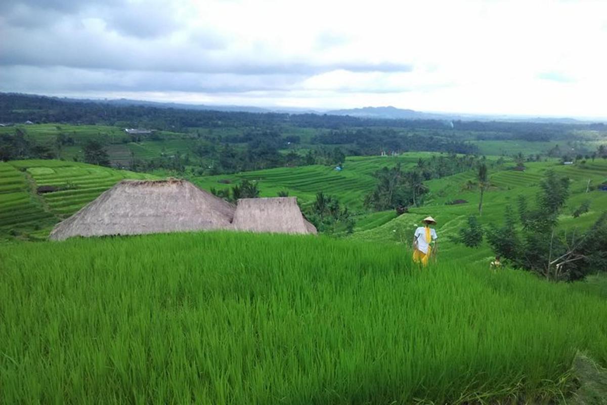 um homem caminhando em um campo de grama verde