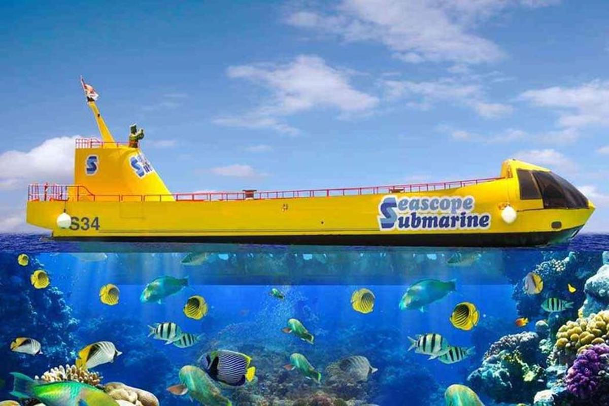rumena podmornica v oceanu poleg jate rib