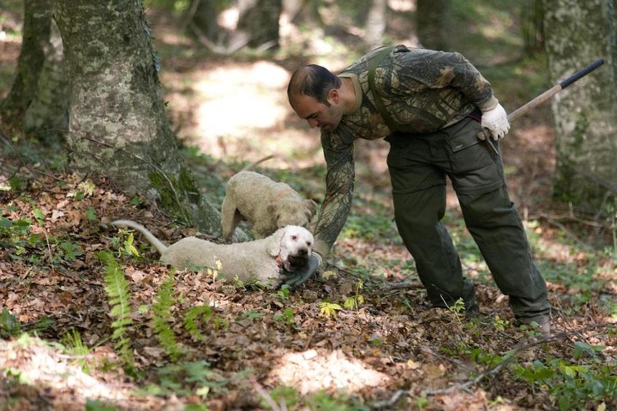seorang lelaki dalam penyamaran bermain dengan seekor anjing di dalam hutan