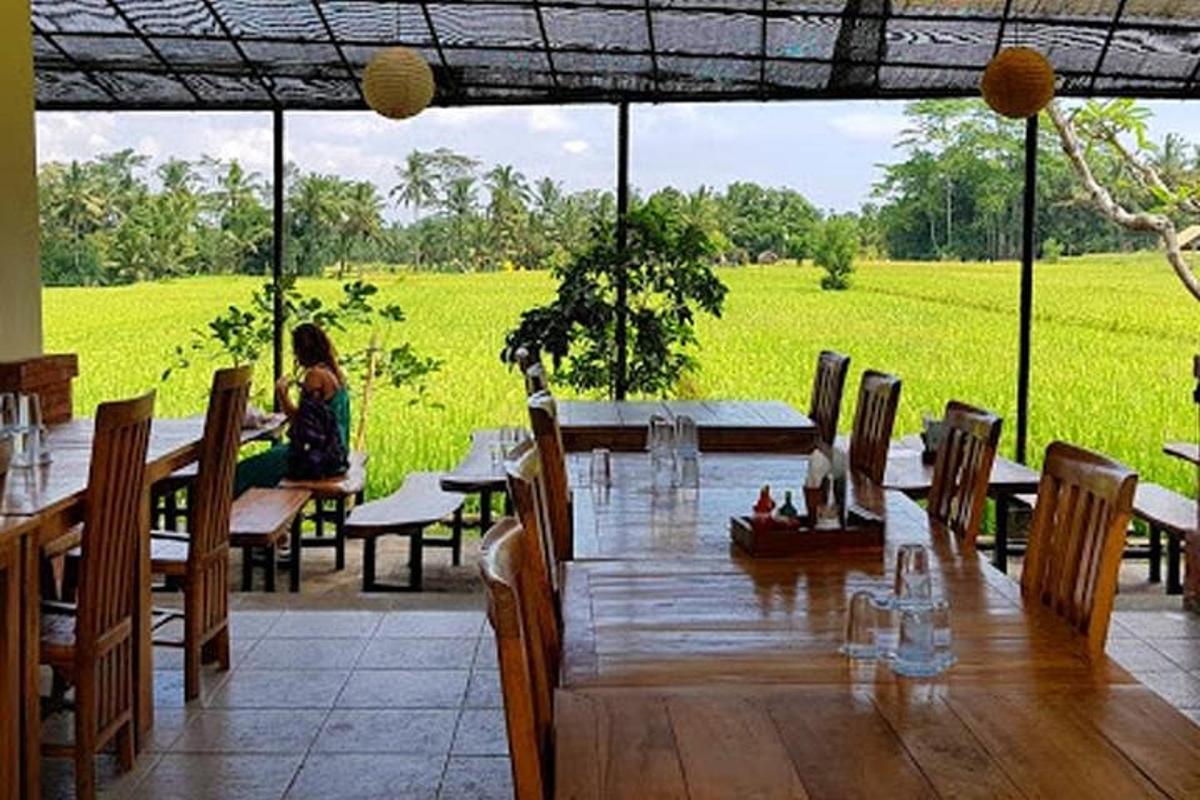 a dining room with a table and chairs and a field