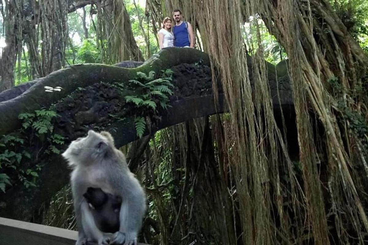 un mico assegut davant d'un arbre amb dues persones